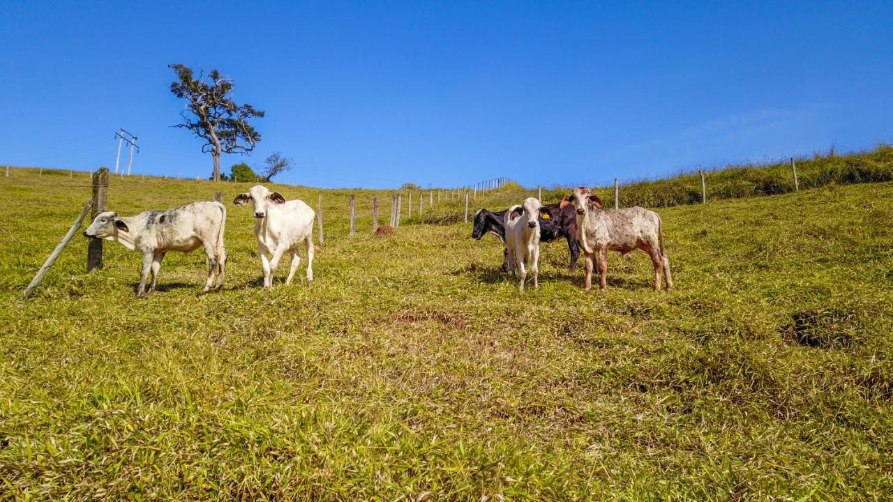 Pousada Sonho Meu Itanhandu Exterior foto