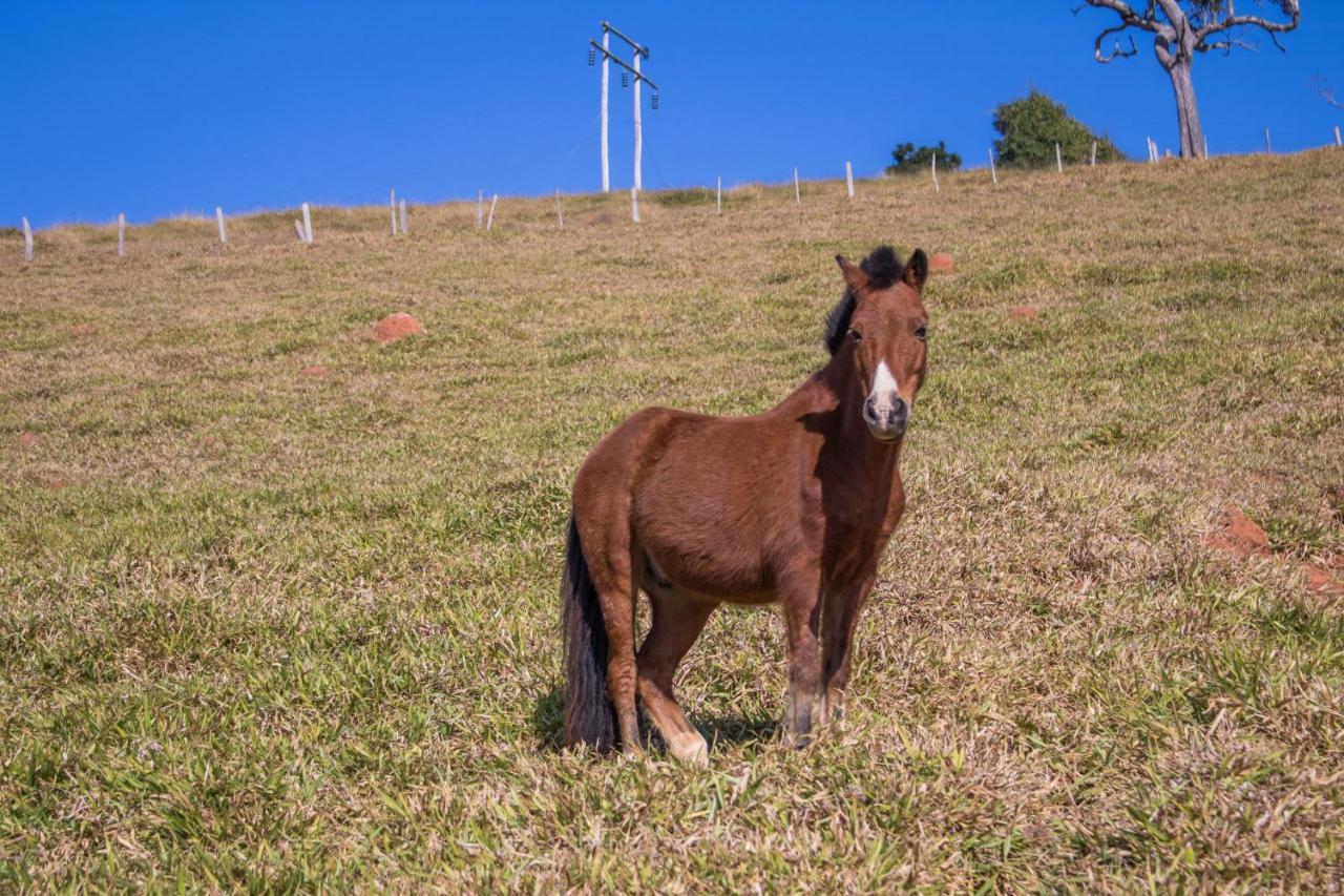 Pousada Sonho Meu Itanhandu Exterior foto